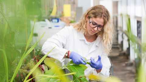 An image of a plant researcher in a lab coat